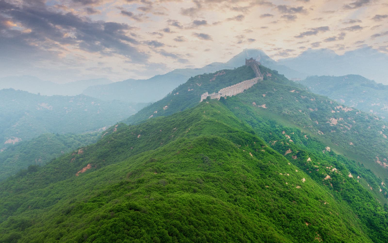 Cina