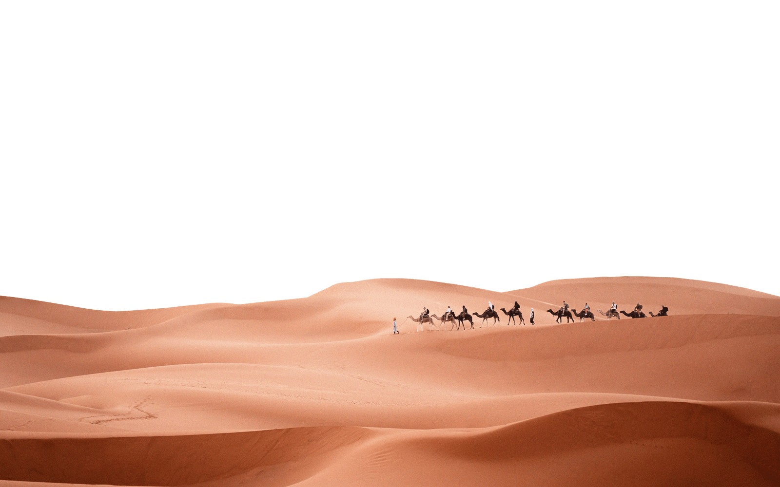 Marocco