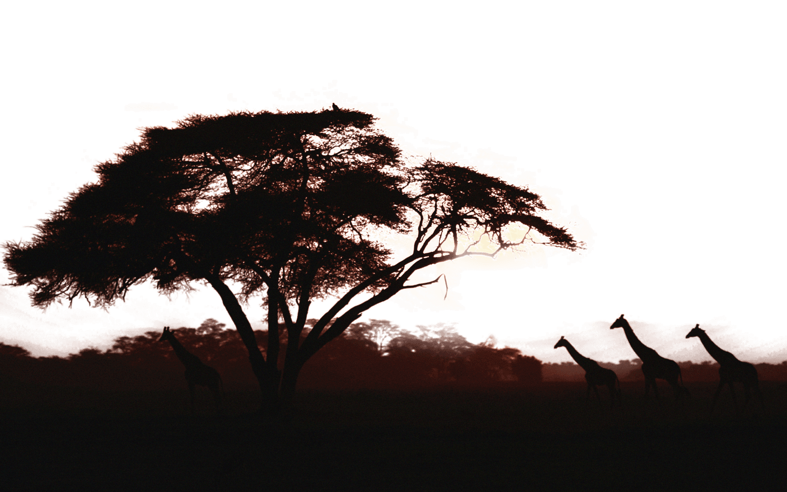 Kenya