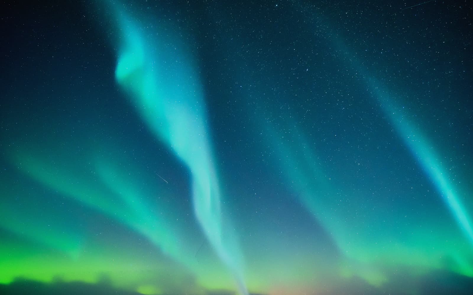 Norvegia