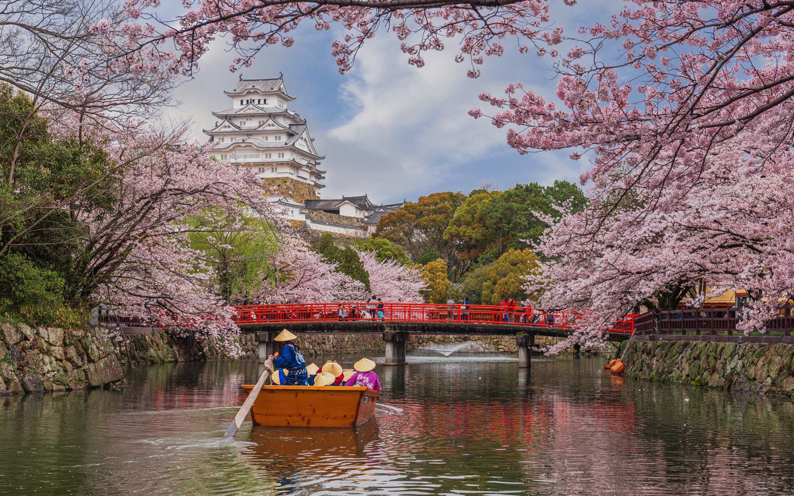 Hanami in Giappone | Extended Edition