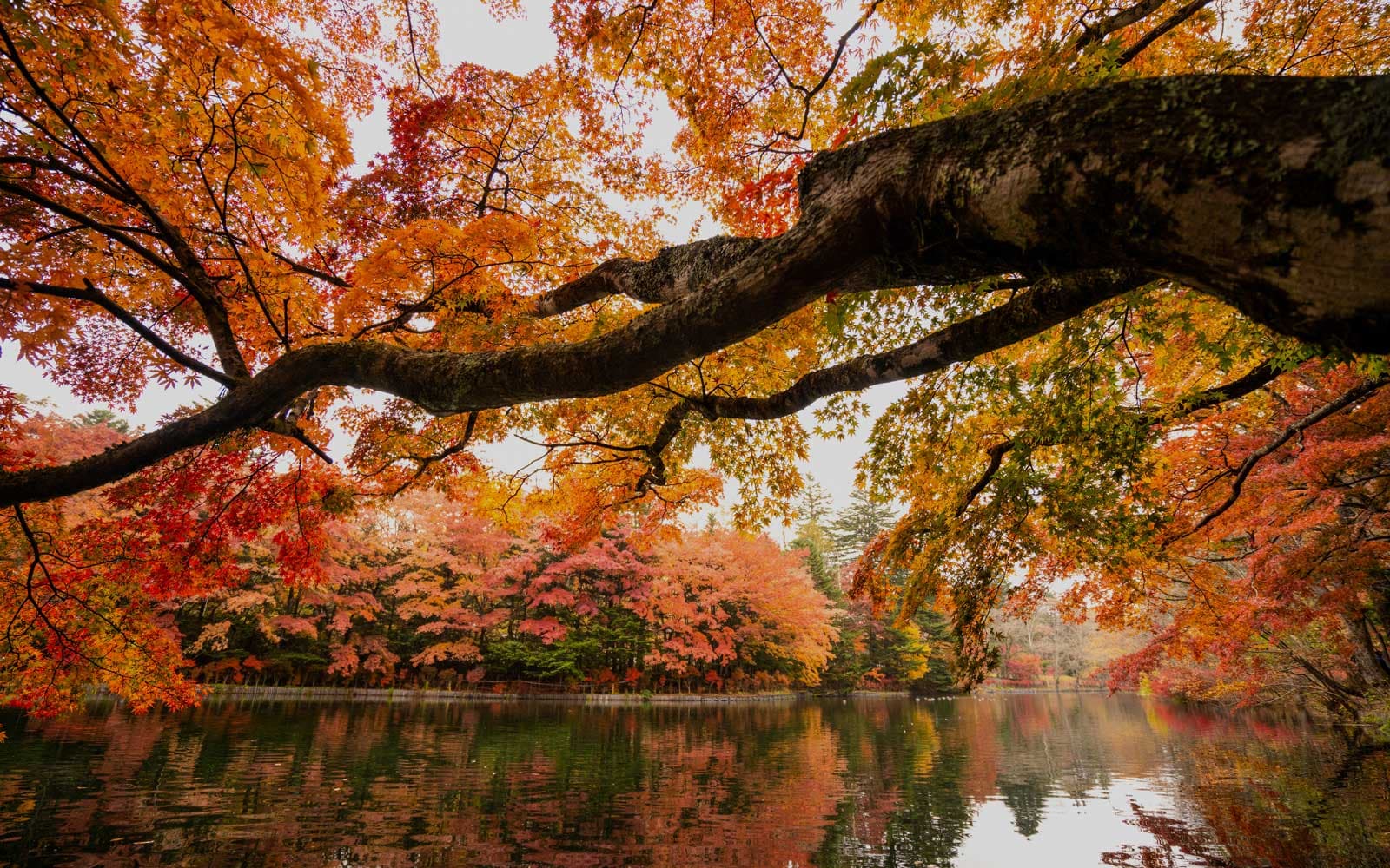 Autunno