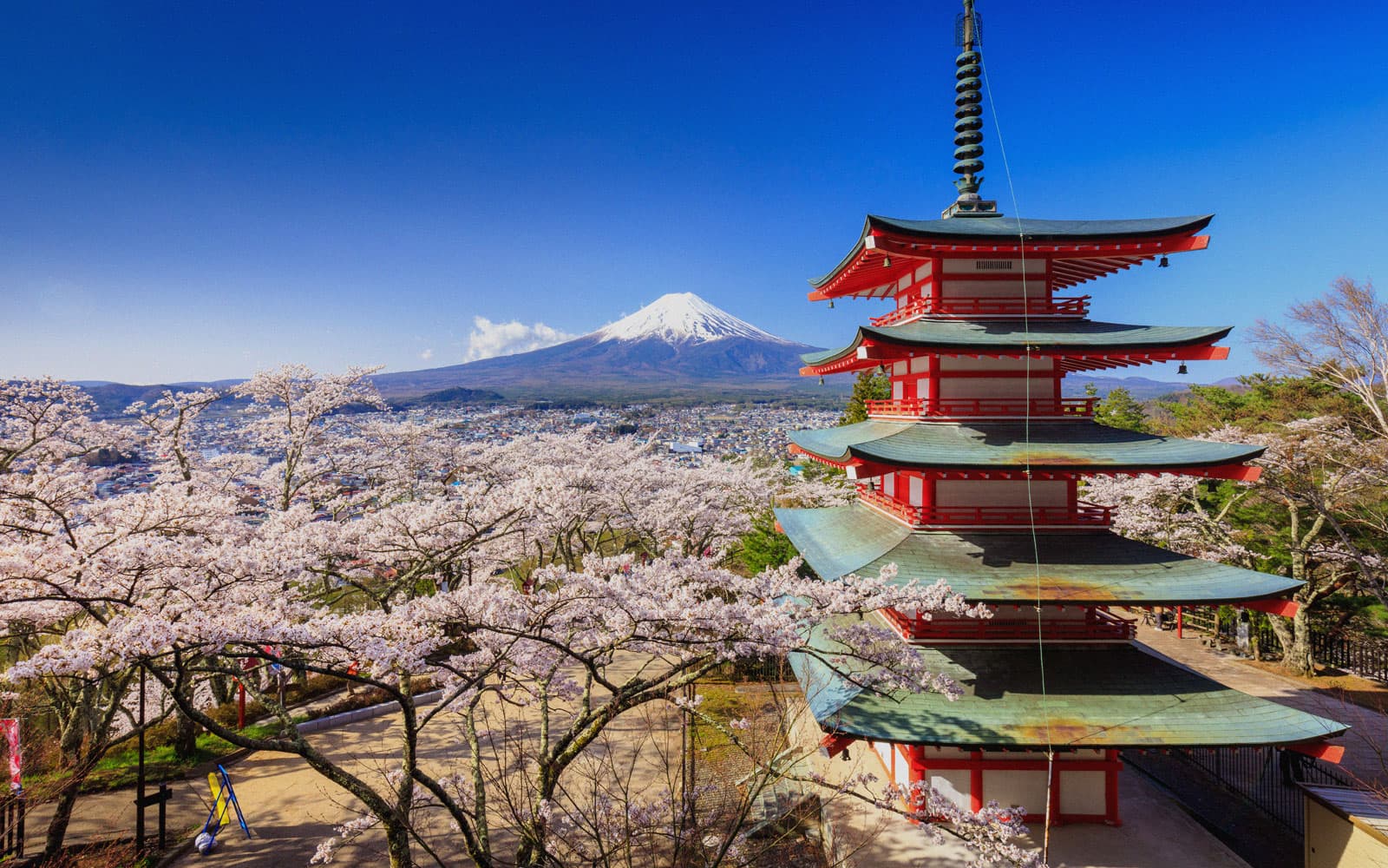 Hanami in Giappone | Classic Edition