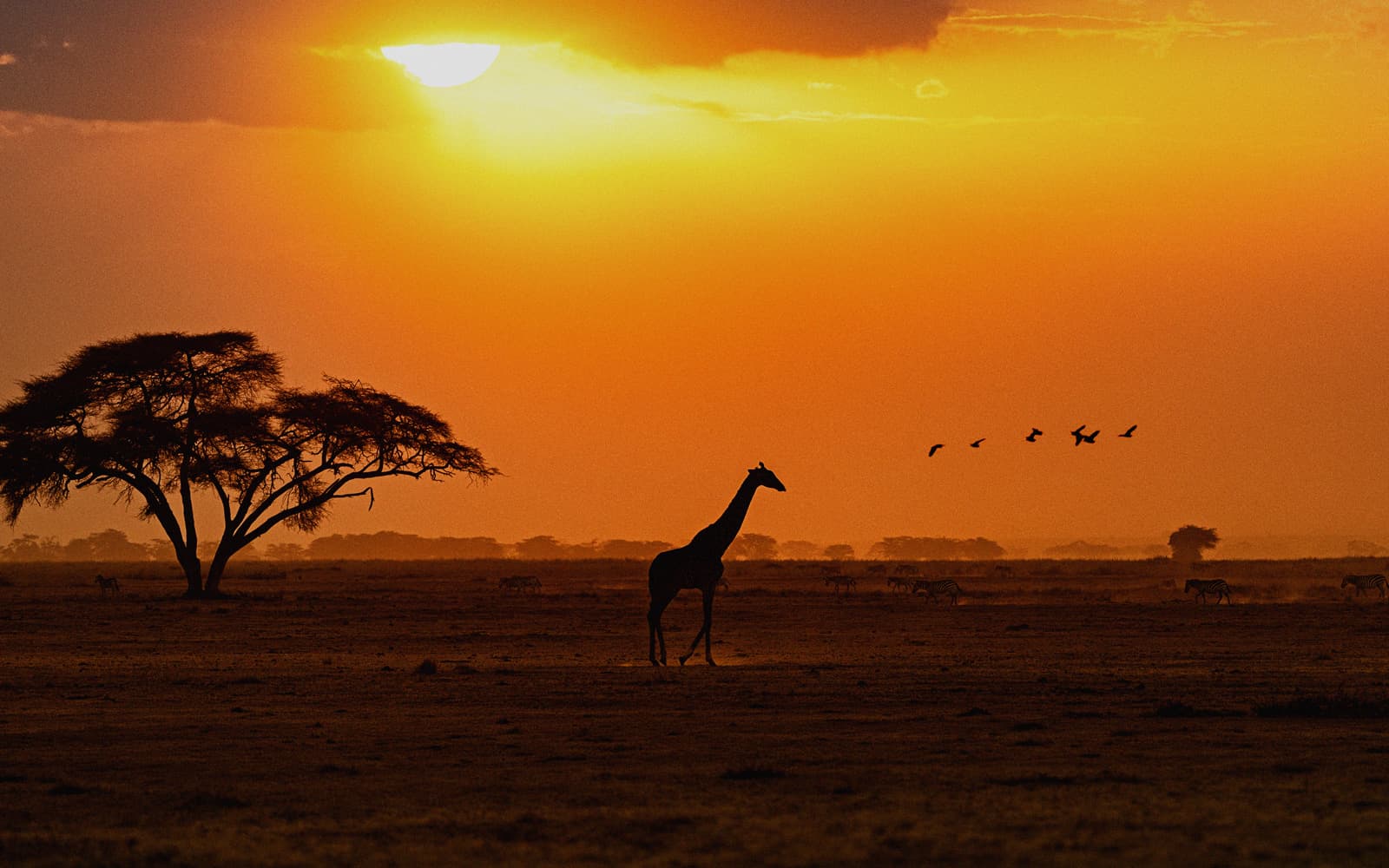 Viaggi in tutto il mondo