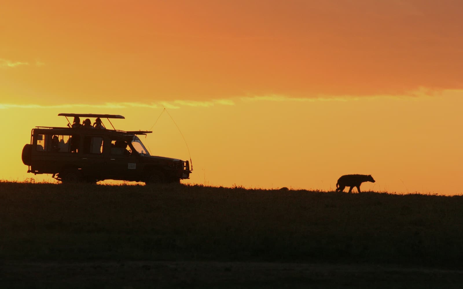 Safari in Kenya | tra savana e oceano