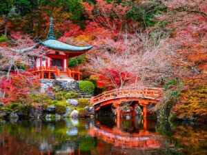 Viaggio di gruppo autunno in Giappone | Dal 09 al 20 Ottobre 2024