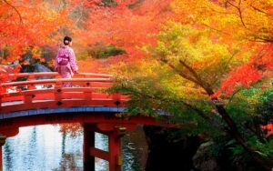 Viaggio di gruppo autunno e halloween in Giappone | Dal 24 Ottobre al 05 Novembre 2024