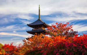 Viaggio di gruppo foliage in Giappone | Dal 06 al 16 Novembre 2024