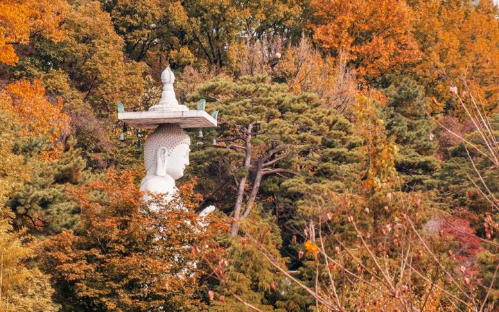 Viaggio di gruppo autunno in Corea del Sud