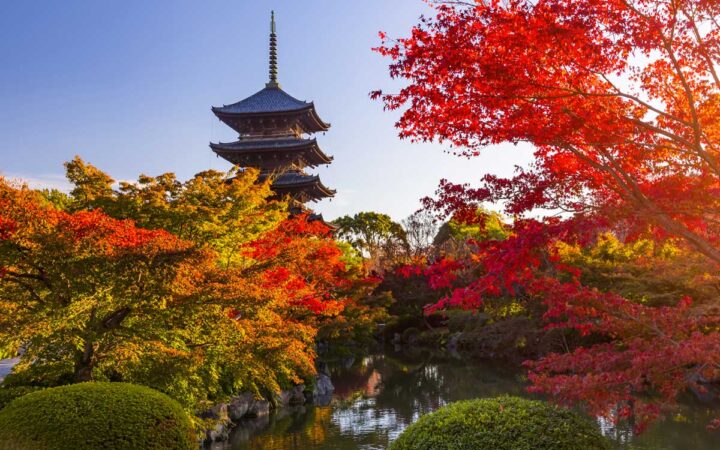 Viaggio di gruppo autunno in Giappone Foliage Edition