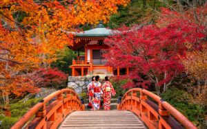 Viaggio di gruppo autunno in Giappone: Foliage Edition | Dal 13 al 23 Novembre 2024